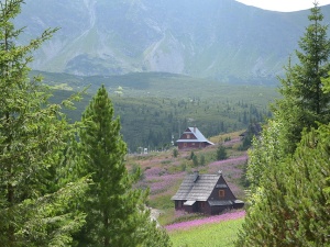 Zakopane: Nawet o 70 proc. mniej rezerwacji wakacyjnych niż przed pandemią