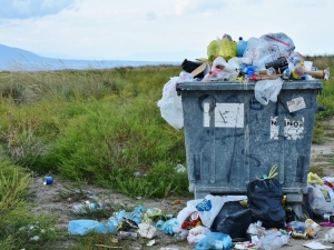 Wojciech Osiński: Jak Niemcy z plastikiem walczyli. Ekorewolucja Zielonych wbrew zdrowemu rozsądkowi