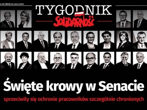 Najnowszy numer „Tygodnika Solidarność”: Święte Krowy w Senacie