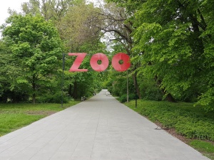 Warszawskie zoo wydało komunikat