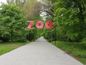 W warszawskim zoo rozegrał się dramat