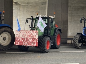 Ekspert ds. rolnictwa demaskuje kłamstwa na temat Zielonego Ładu 