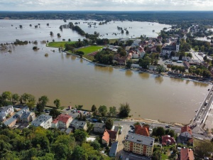 Internauta aresztowany za krytykę TVP i rządu? Suwerenna Polska zapowiada działania 