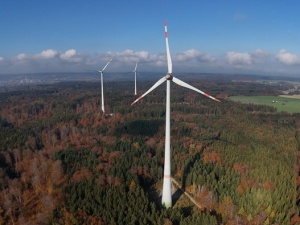 Rząd Tuska ma postawić farmy wiatrowe w polskich lasach