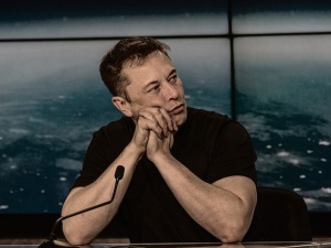 Ostatnia iskierka nadziei. Musk o swoim poparciu dla AfD