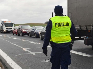 Wirus pryszczycy tuż przy granicy z Polską. Będą kontrole na drogach