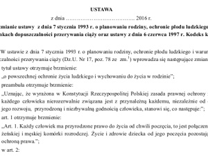 W związku z licznymi kłamstwami na temat obywatelskiego projektu "Stop aborcji" publikujemy go W CAŁOŚCI