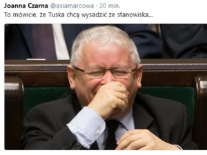 "To mówicie, że Tuska chcą wysadzić ze stanowiska" - najlepsze komentarze internautów