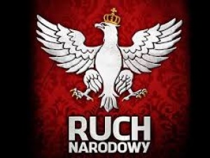 Ruch Narodowy wykreślony z rejestru partii politycznych