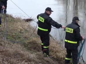 Wyniki sekcji zwłok ofiar wypadku w Tryńczy. Trzy poszukiwane nastolatki były w samochodzie