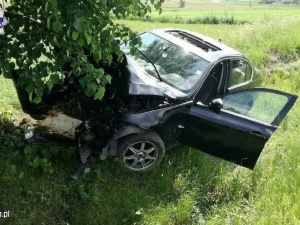 Zatrzymany po wypadku Tanzańczyk twierdzi, że na drogę wtargnęła... antylopa