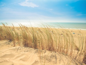 Przy plaży w Kołobrzegu znaleziono niewypały z czasów II wojny światowej. Okolice trzeba ewakuować