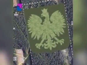 [video] Zasadzili las w kształcie polskiego godła na stulecie odzyskania niepodległości