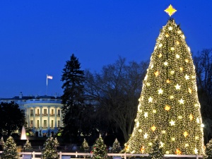 Halina Kaczmarczyk dla "TS":  W okolicy 24 grudnia zależy mi na „Merry Christmas”