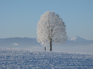 UWAGA! Nadchodzi sroga zima! Temperatura spadnie nawet do minus 17 stopni Celsjusza