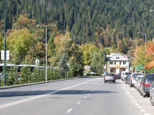 [foto] Koronawirus: Zakopane w kwarantannie. Takie pustki, że ulicami centrum spacerują dzikie zwierzęta