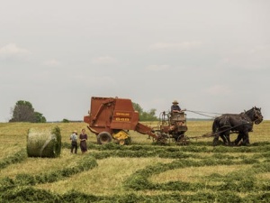 Pracownicy sezonowi chronieni przez unijną dyrektywę