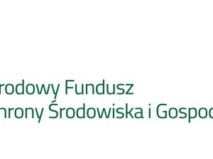 Narodowy Fundusz Ochrony Środowiska zaprasza na bezpłatne szkolenie