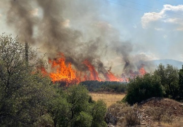 Grecja znowu mierzy się z pożarami