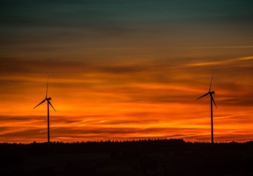 Większość farm wiatrowych w Szwecji przynosi straty: nadchodzi fala bankructw