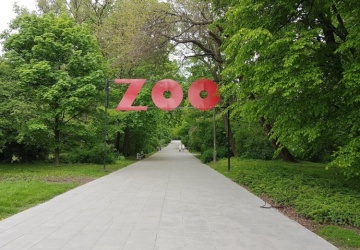 W warszawskim zoo rozegrał się dramat. Hodowla jest trudna i wymagająca