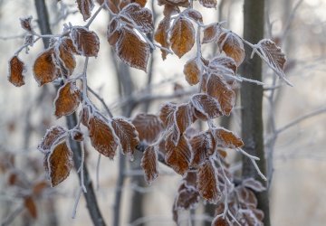 Dwucyfrowy mróz i silne śnieżyce. Taka pogoda nas czeka 