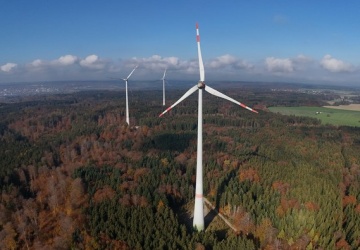 Rząd Tuska ma postawić farmy wiatrowe w polskich lasach