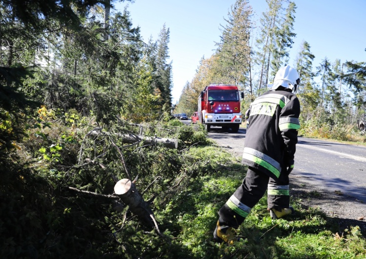  Silny wiatr nad Polską. Bez prądu pozostaje prawie 70 tys. odbiorców