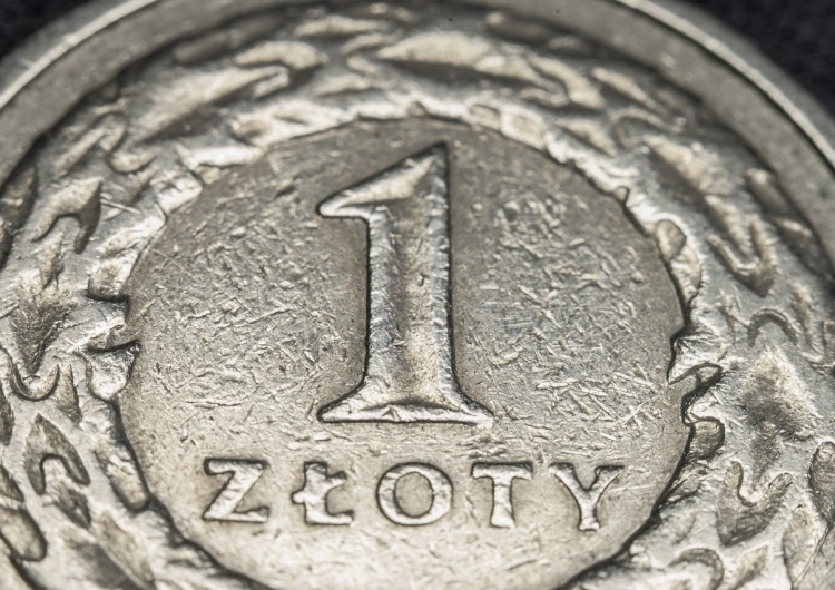 złotówka, złoty 