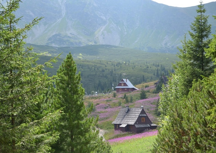  Zakopane: Nawet o 70 proc. mniej rezerwacji wakacyjnych niż przed pandemią