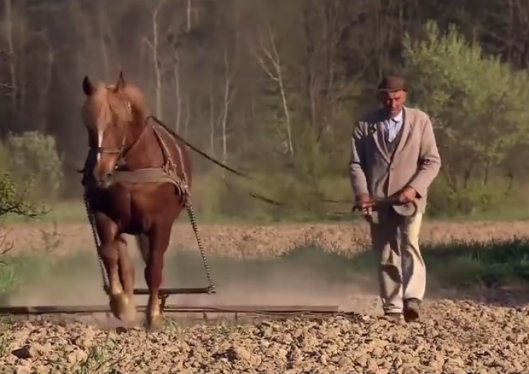 zrzut ekranu [video] Ten film o Polsce robi furorę za granicą!