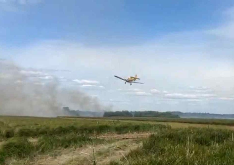 Pożar na terenie Biebrzańskiego Parku Narodowego Pożar na terenie Biebrzańskiego Parku Narodowego. Trwa akcja służb 