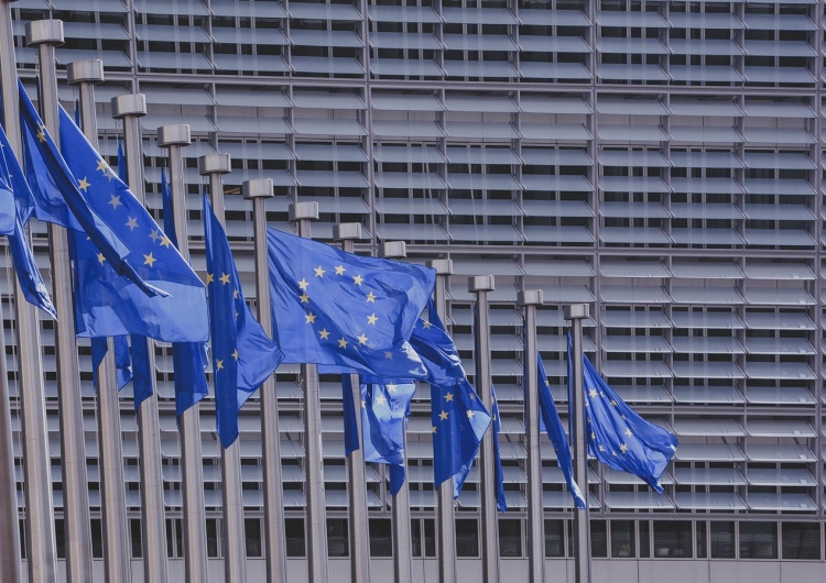 UE Poseł od Hołowni głosowała za zmianami traktatów UE. „Rekomendowaliśmy, by zagłosowała przeciwko”
