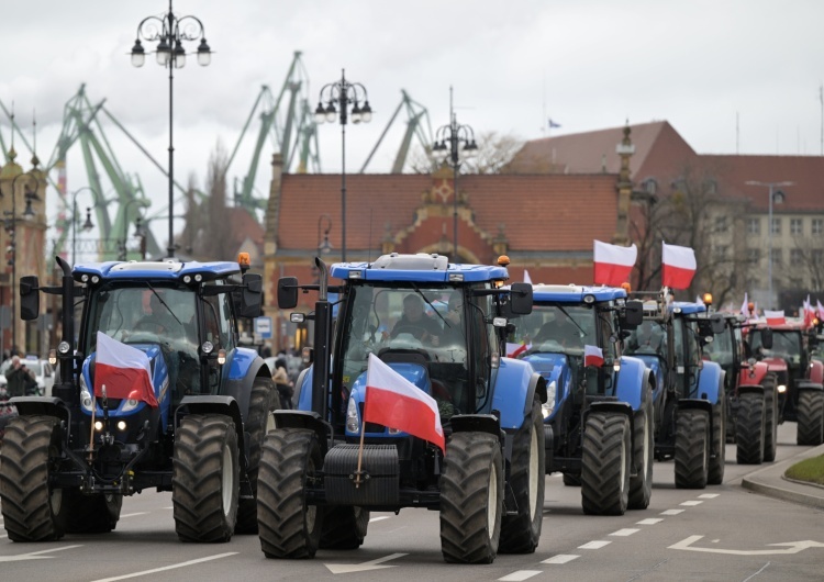 Protest rolników w Polsce Rolnicy Europy Środkowej łączą siły przeciwko UE