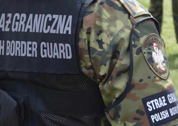 Straż Graniczna Nielegalni migranci zatrzymani w Polsce 