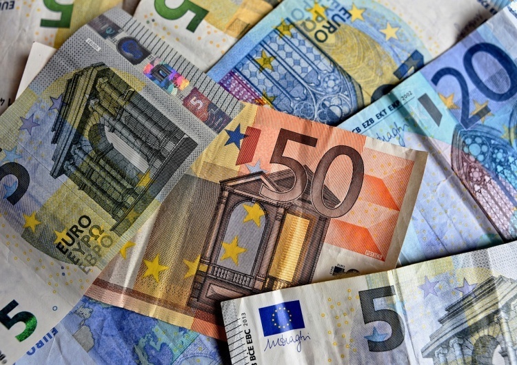  Niemiecki ekonomista chce Polski w strefie euro