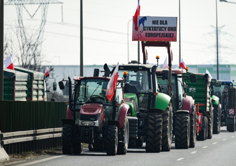 Protesty rolników, zdjęcie poglądowe Niemieckie media: UE chce „uspokoić” rolników przed czerwcowymi wyborami do PE