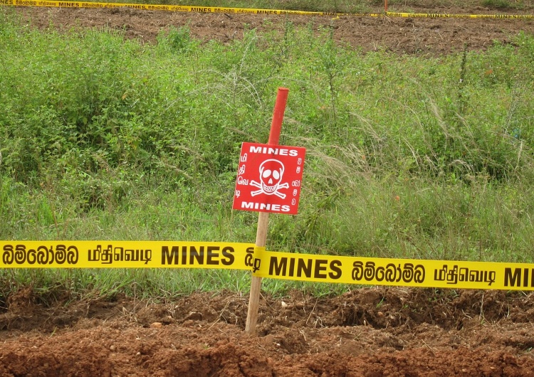 pole minowe Posłowie PiS chcą wypowiedzenia konwencji zakazującej min przeciwpiechotnych 