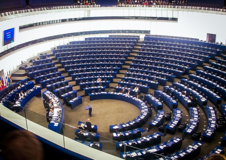 Parlament Europejski  Jak wygląda podział sił w Parlamencie Europejskim? 