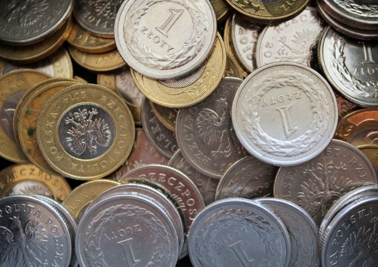 Pieniądze - zdjęcie ilustracyjne Polacy zmieniają nawyki. Ta branża tonie w długach