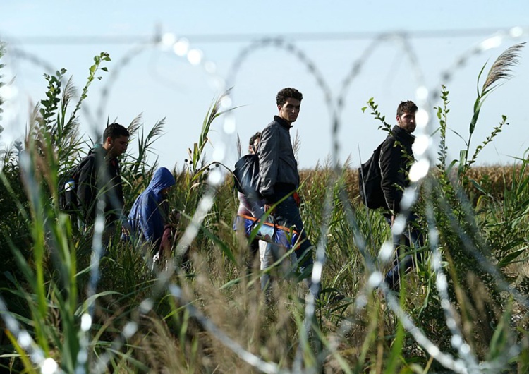 Imigranci na Węgrzech Propozycja rządu zdejmie kolejną barierę. Imigrantów w Polsce będzie jeszcze więcej