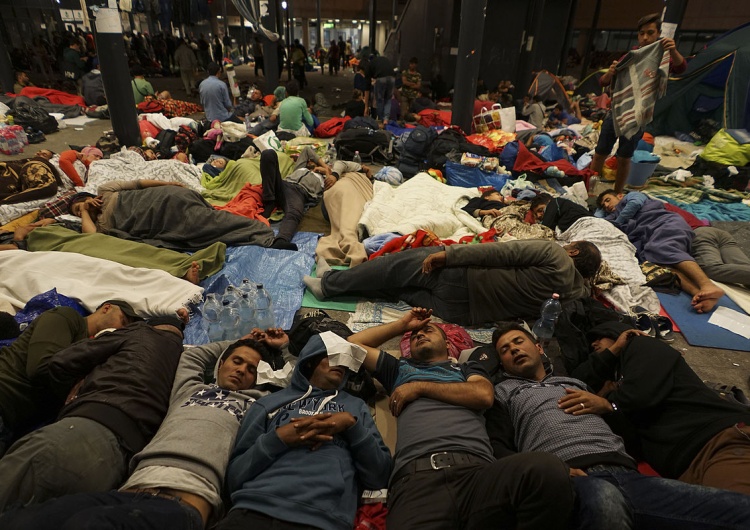 Uchodźcy w Europie Rasizm sprowadzony do poziomu absurdu: rozpoczęła się zimna wojna domowa 