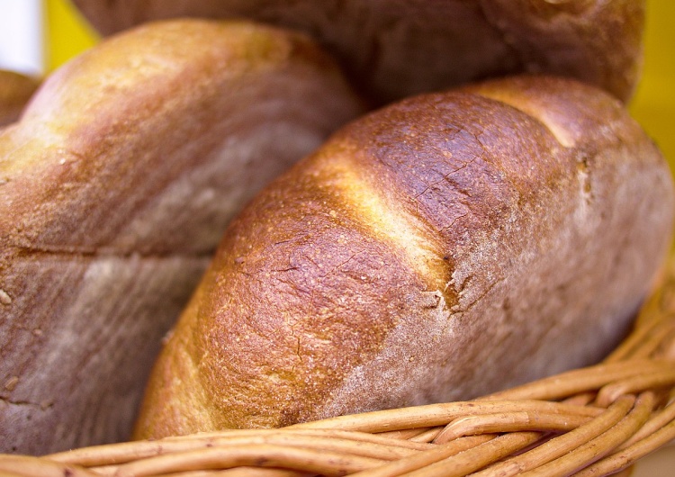 chleb Rękawiczki kontra pieczywo, czyli słów kilka o zakupach w hipermarkecie