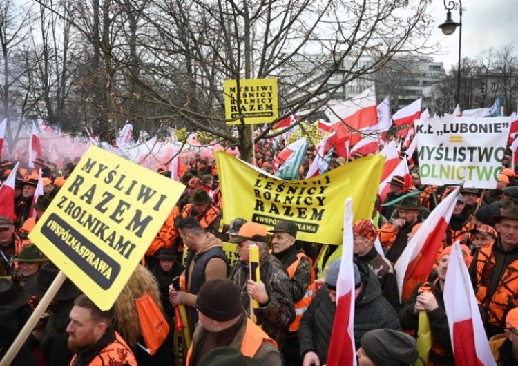  Leśnicy będą protestować w Warszawie. „Destrukcja polskiego sektora leśno-drzewnego”