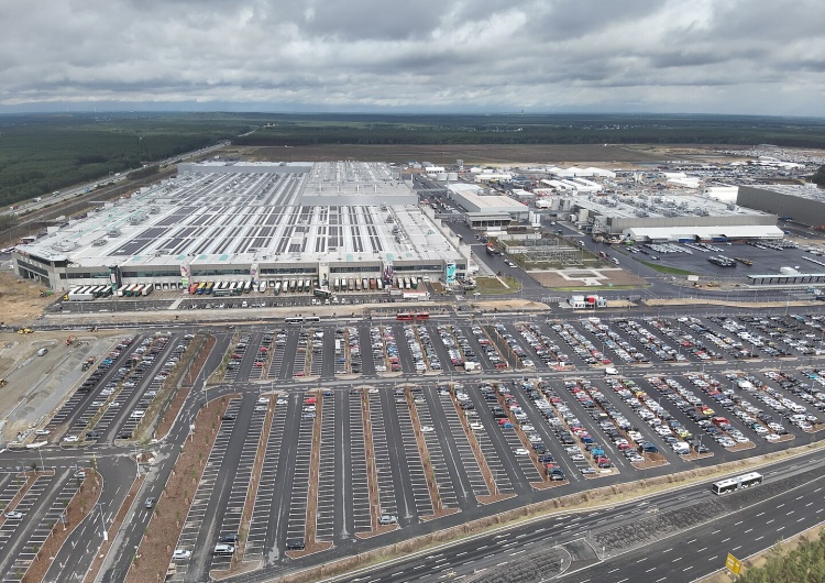 Fabryka Tesli w Grünheide Potężny cios w niemiecką gospodarkę. Tesla wstrzymuje budowę fabryki