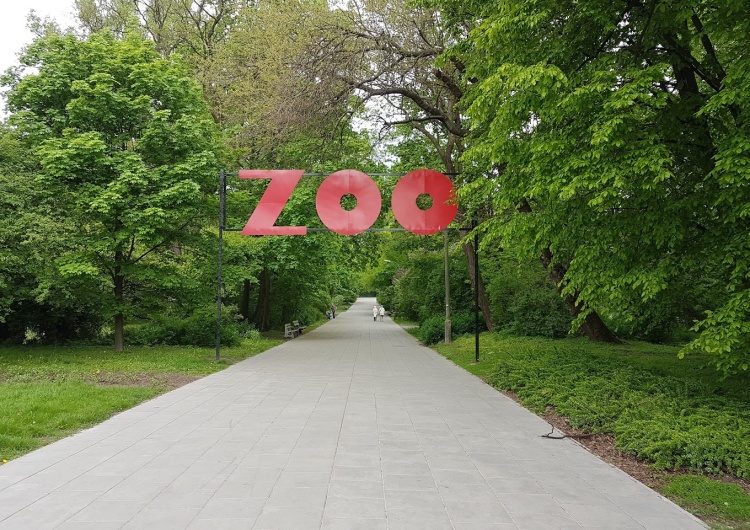 Warszawskie zoo Warszawskie zoo wydało komunikat