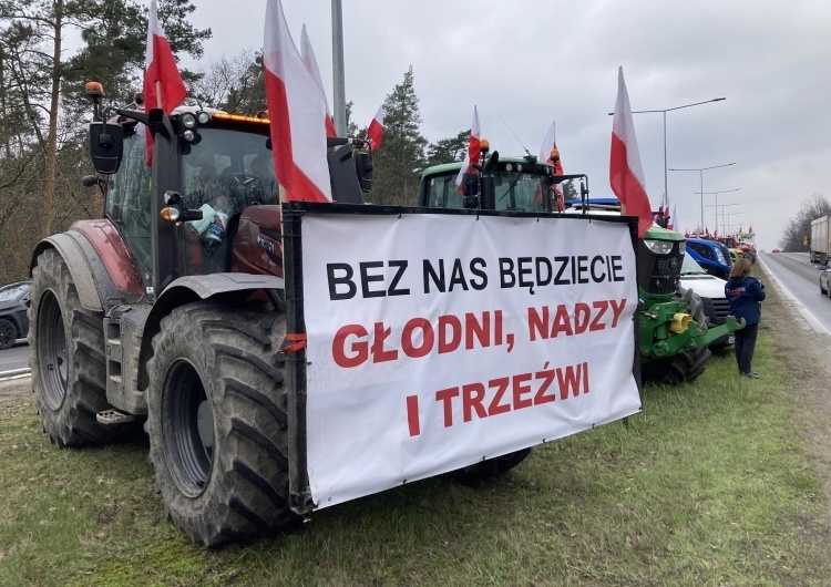 protest rolników  Zielony Ład obnażony: Czeka nas koniec rolnictwa, a zwłaszcza hodowli takiej, jaką znamy