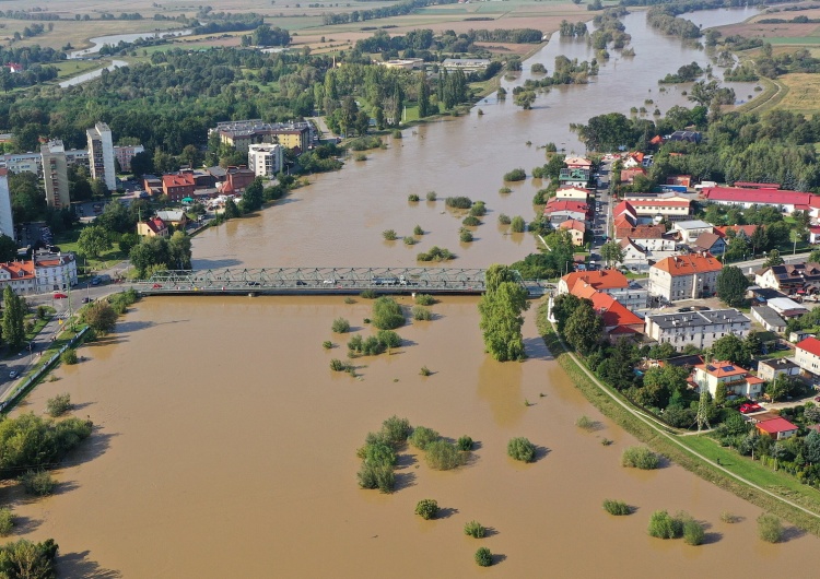 Oława. Wysoki poziom wody w Odrze 