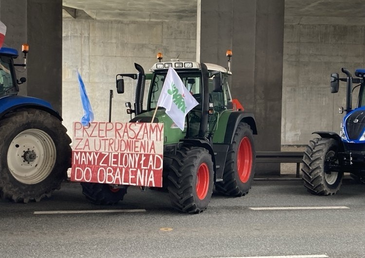 Zielony Ład / Ekspert ds. rolnictwa demaskuje kłamstwa na temat Zielonego Ładu 