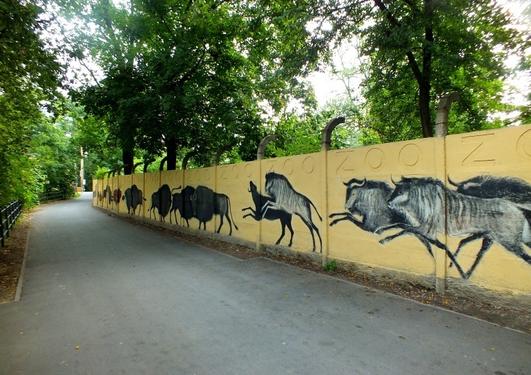 Mural autorstwa Jerzego Wołoszynowicza na ogrodzeniu zoo 